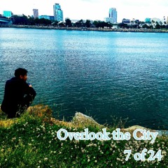 Overlook the City 7 of 24