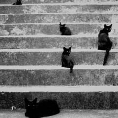 uod | تهددني| منفرد