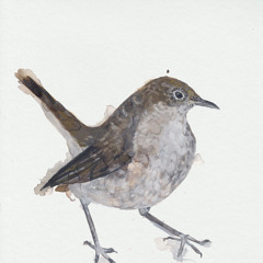 Nightingale, Pt. 1