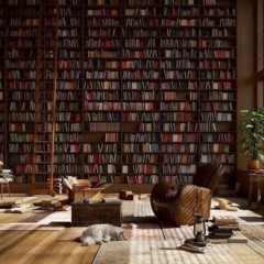 pinkpanthers - just 4 me slowed and pitched by strobe