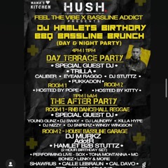 A.B.E - DJ Hamlet Birthday BBQ Bassline Promo Mix