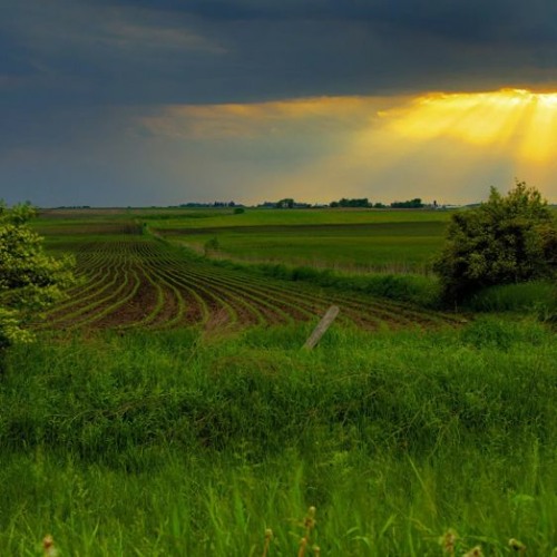 企業 uplifting background music (FREE DOWNLOAD)