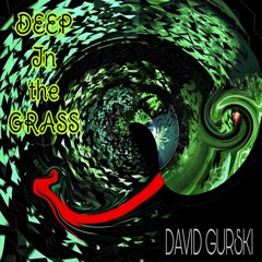 DEEP in the GRASS