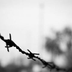 Run Fast For Your Mother