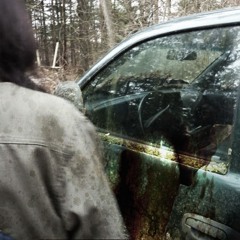 wha we stole