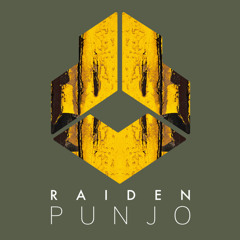 Raiden - Punjo