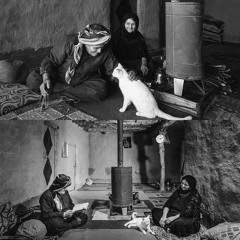 يا دار _ غناء علي مظفر  كلمات صلاح منسي