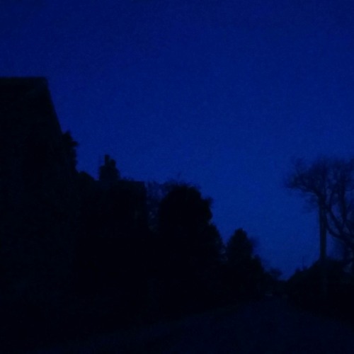 Dawn Chorus in Hessay village