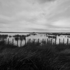 Ciel gris