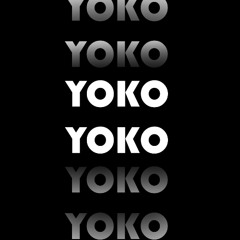 FE!N - YOKO REMIX