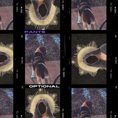Pants Optional - a techno set