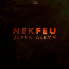Nekfeu  J'élargis Mes Racines