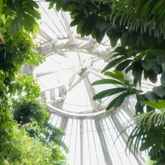 glass house