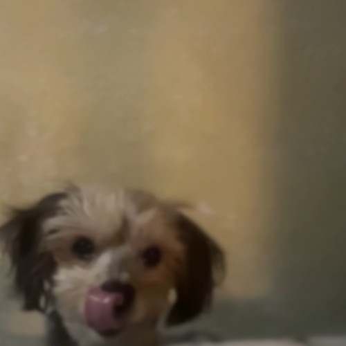 Gems&Bangers pt2‼️ (riddim)