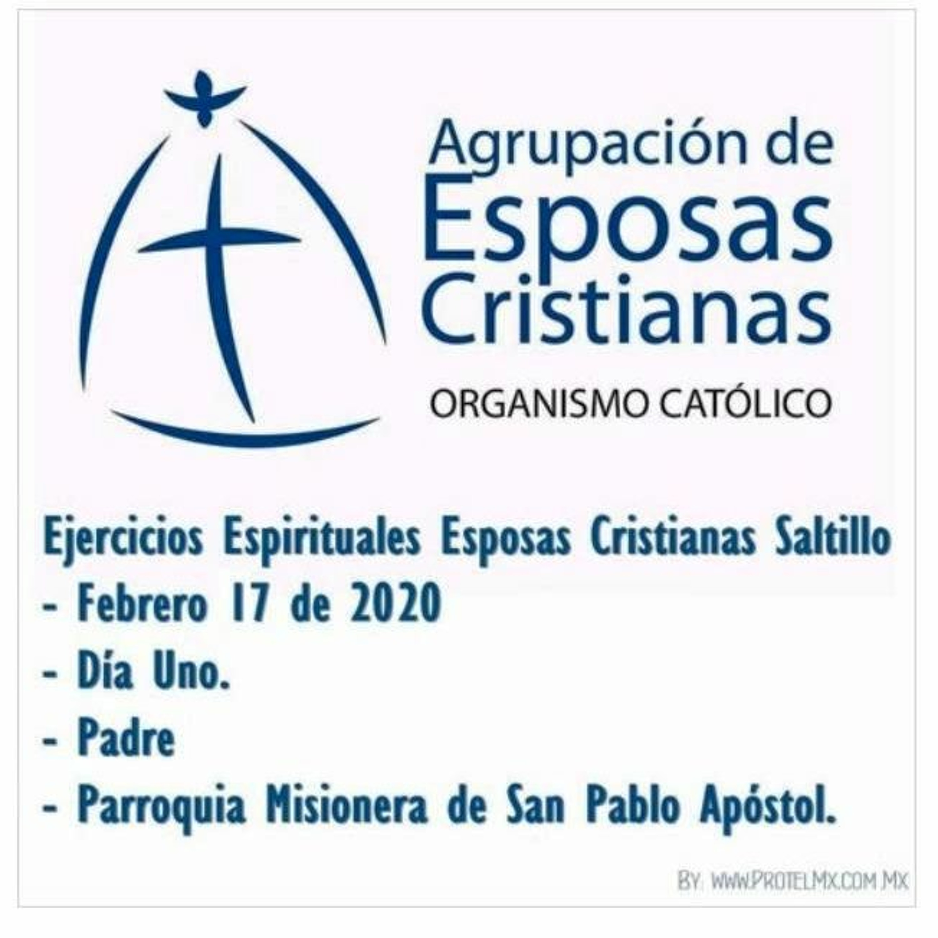 SAMARA_Saltillo #2019