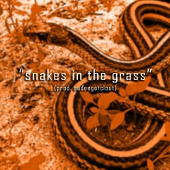 Snakes in the Grass (Prod. AudeeGotClout)