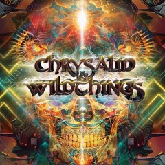 Xullab/LlamaLeaf Hybrid Set - Chrysalid & Wildthings - Something Groovy Stage 2024