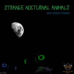 Strange Nocturnal Animals