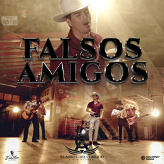 Falsos Amigos