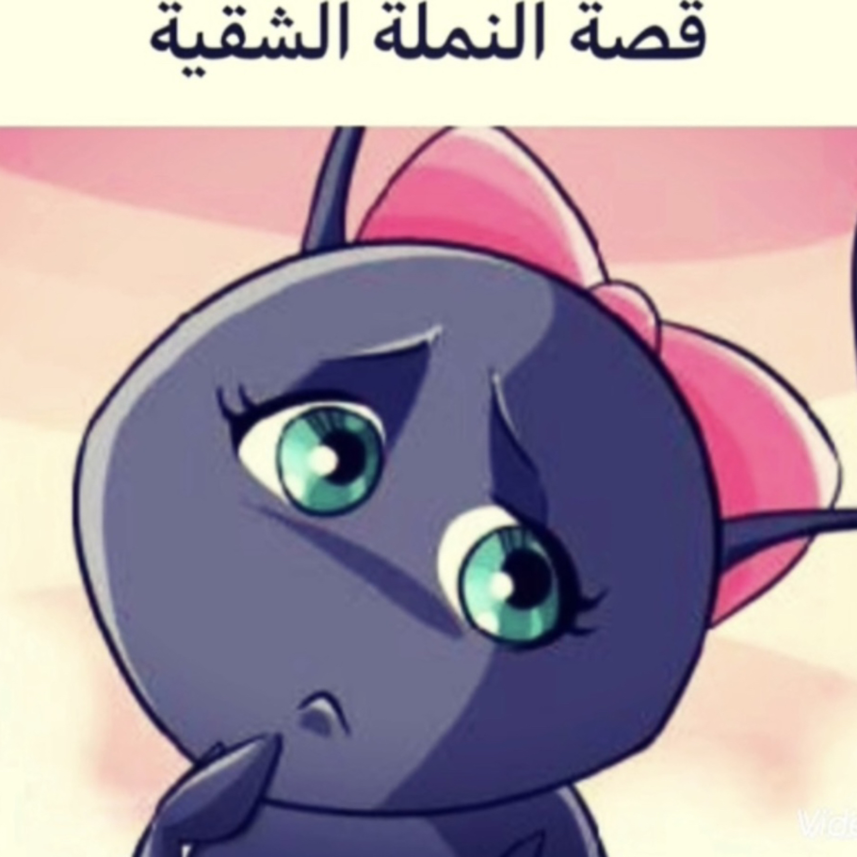 ‎⁨النملة الشقية⁩.mp3