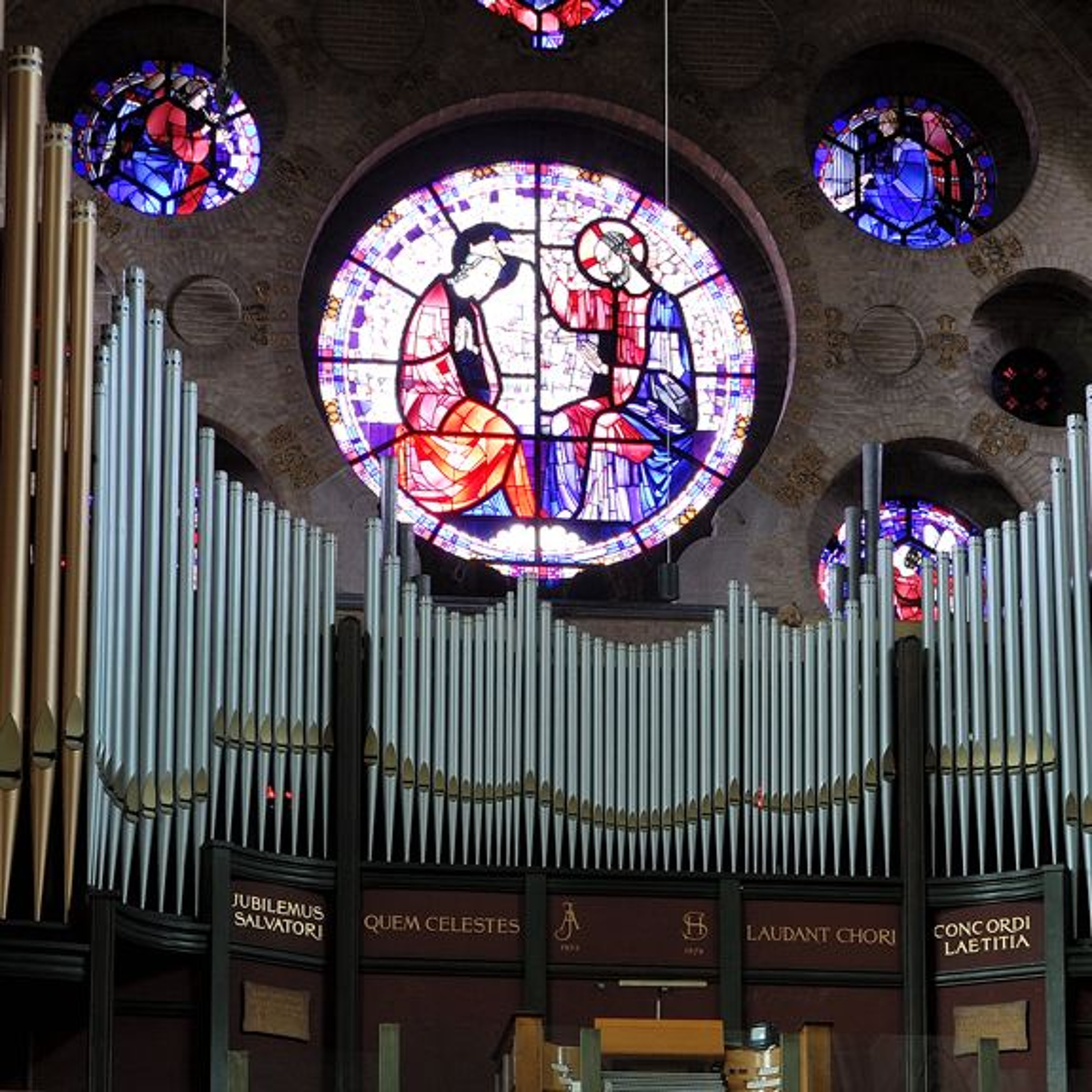 Ton van Eck neemt na 26 jaar afscheid als organist van de Kathedrale Basiliek Sint Bavo episode artwork