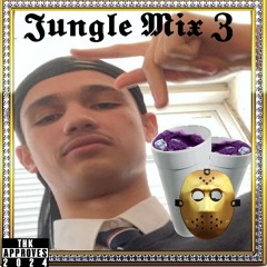 Jungle Mix 03 (STEEZ MIX)