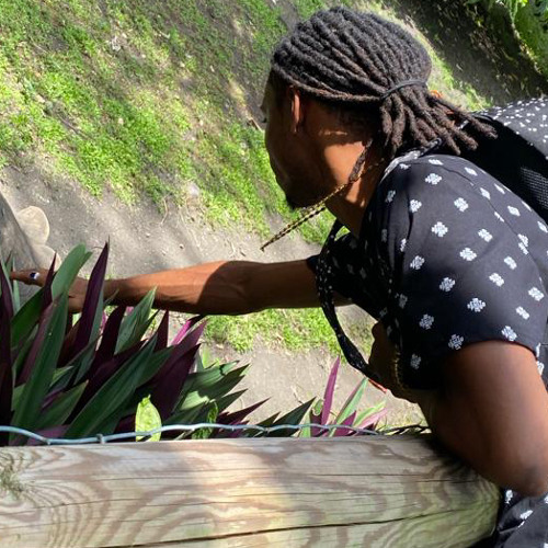 # - -ATTACHE TON CABRI VOL4- -# By Vermine Kush 2k17