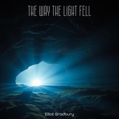 The Way The Light Fell