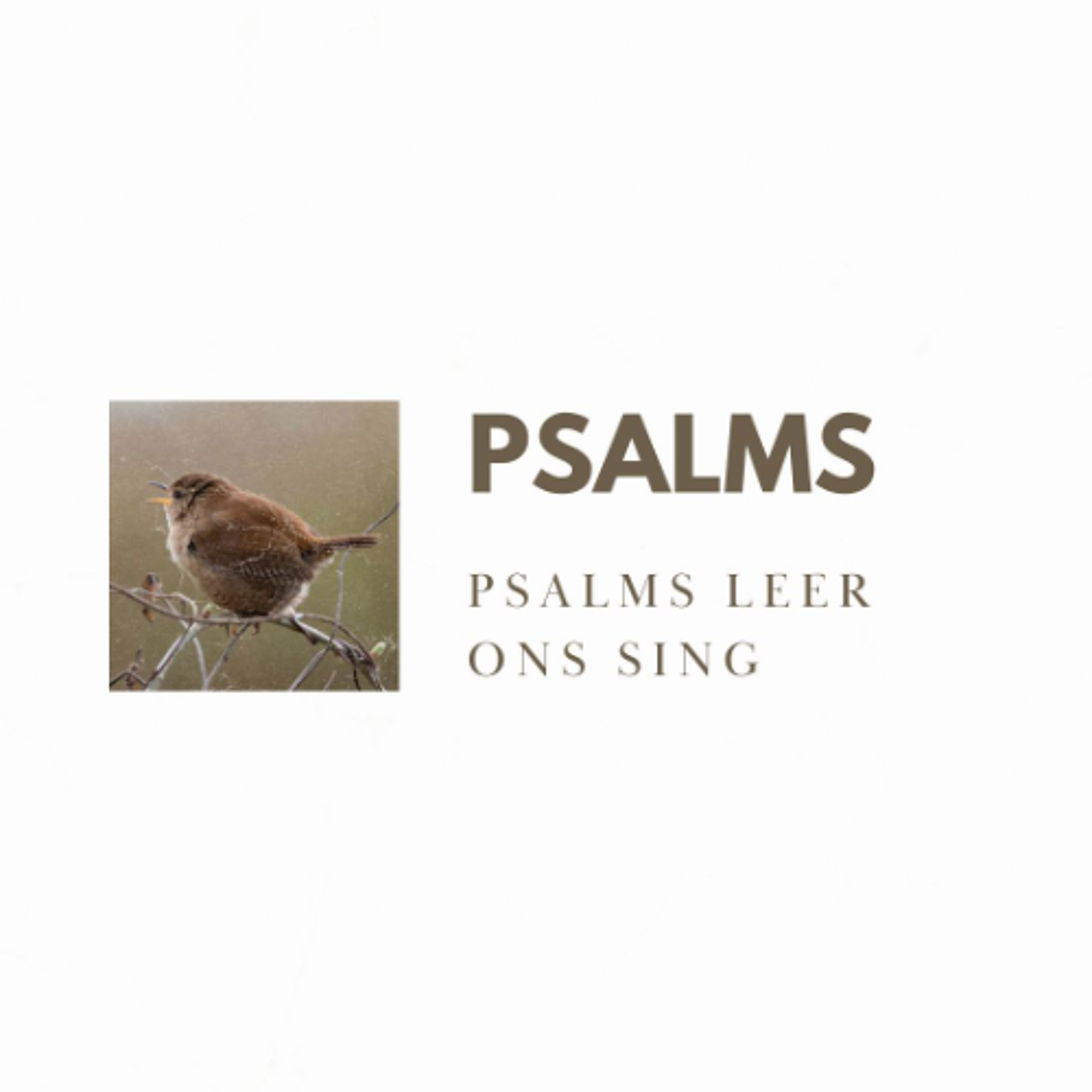 Die Psalms leer ons sing deur Deon Meiring