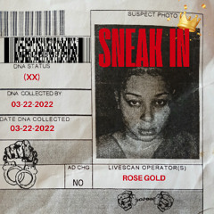 Sneak In