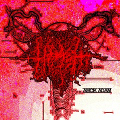 AMCIK ADAM BY TIRASH