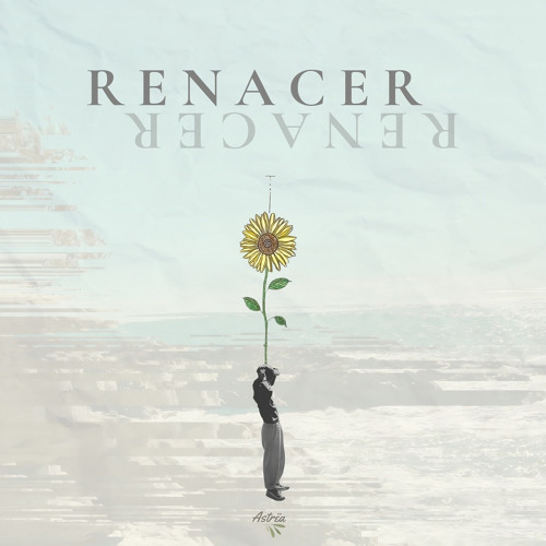 R E N A C E R