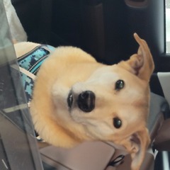 Howard's Bookstore on Friday Night (Prod blakkgr1m)