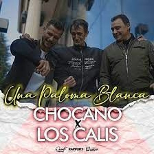 Chocano & Los Calis - Una Paloma Blanca