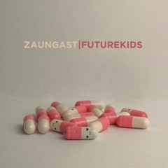 Zaungast – Futurekids