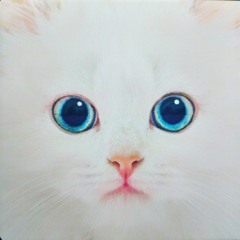 Lazer Pi - Francis Ford Coppola