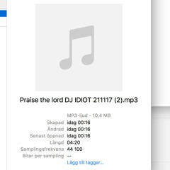 Praise The Lord (DJ Idiot 135)