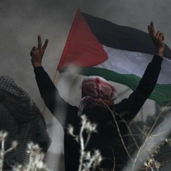 FREEPALESTINE