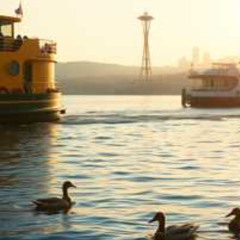 Got a Moment? (Bossa-Jazz)