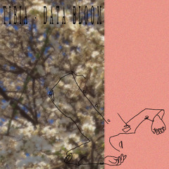 Tibia - Soft Collapse