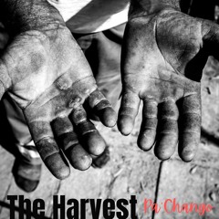The Harvest
