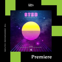 PREMIERE: STEB - Broken Rules [Night Vibez Records]