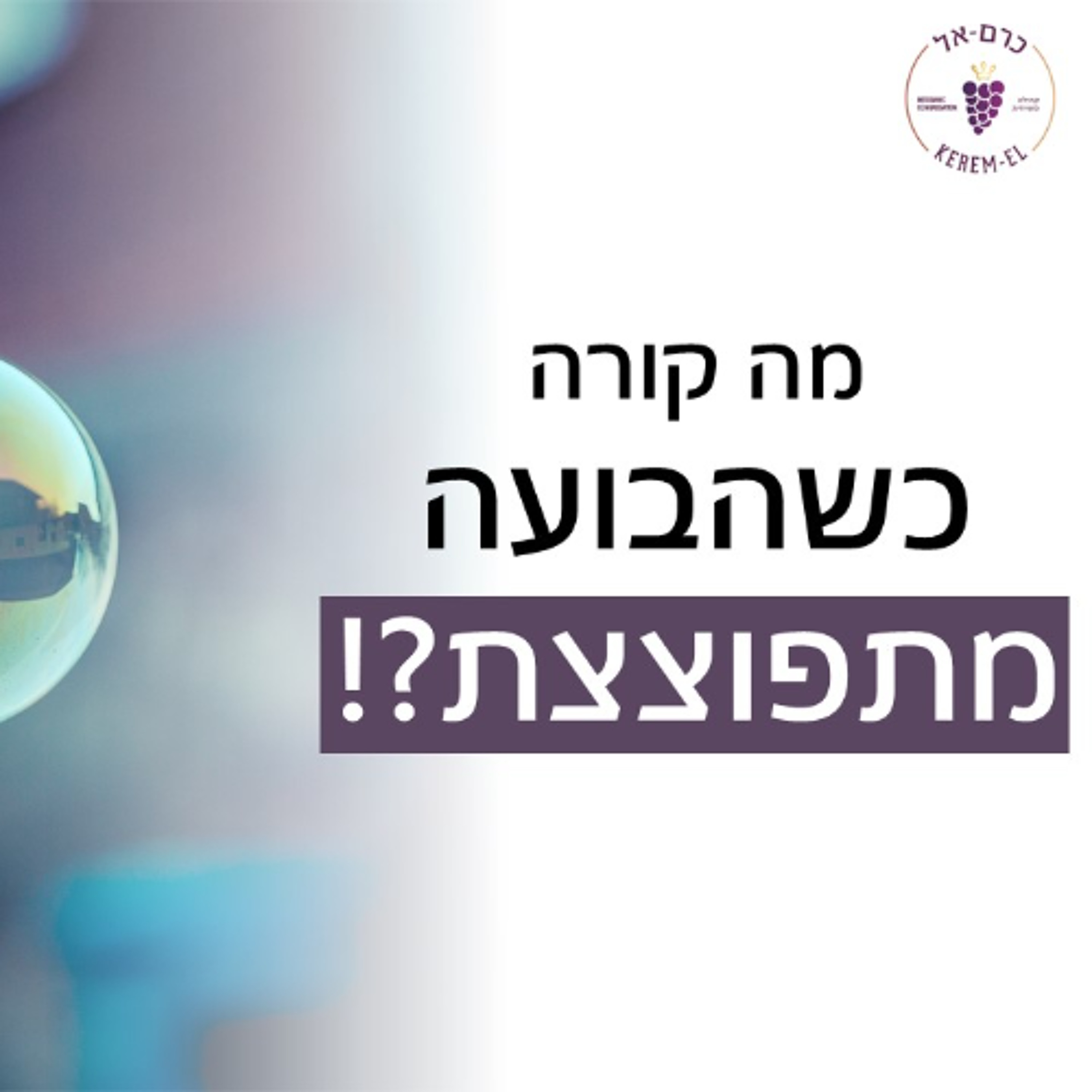 רומים פרק י"א פס' 1-5: מה קורה כשהבועה מתפוצצת - 24.12.2022 episode artwork