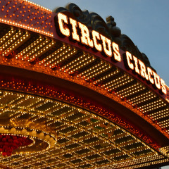 Circus of Fools