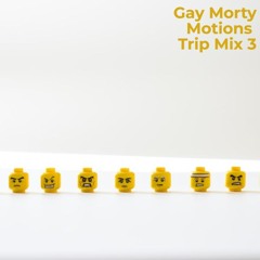 GAY MORTYS MOTIONS TRIP MIX 3