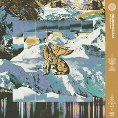 2022/04/26