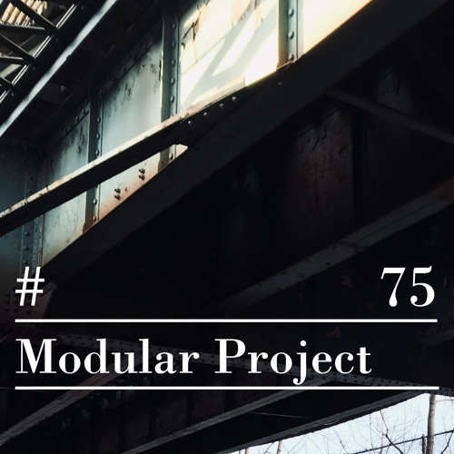 RIOTVAN RADIO #75 | Modular Project