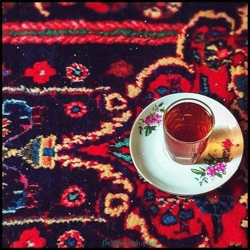 🌱shajarian-ze-mozhgan🌱
