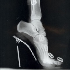 PLEASURE CENTER - Club Unique Radio 30/07/25