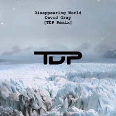 Disappearing World (David Gray) [TDP Remix]